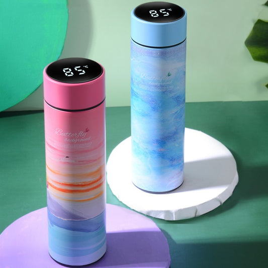 Portable Temperature Display Water Bottle
