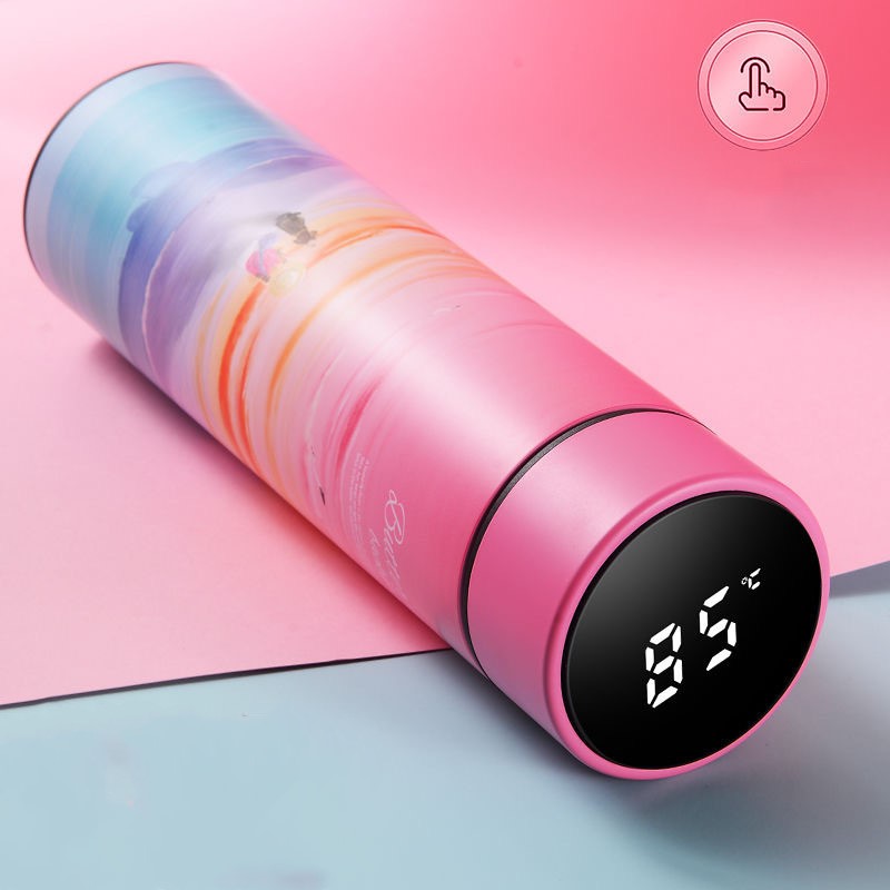 Portable Temperature Display Water Bottle