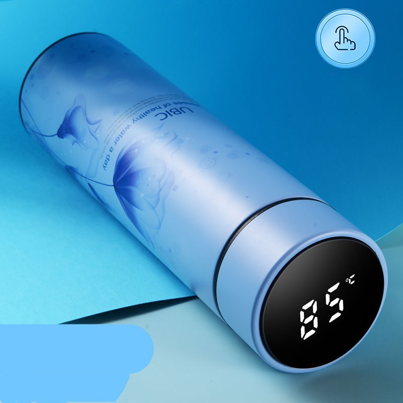 Portable Temperature Display Water Bottle