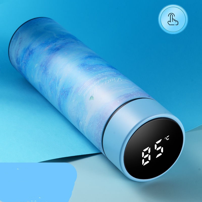 Portable Temperature Display Water Bottle