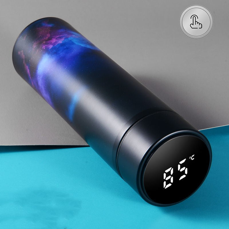 Portable Temperature Display Water Bottle