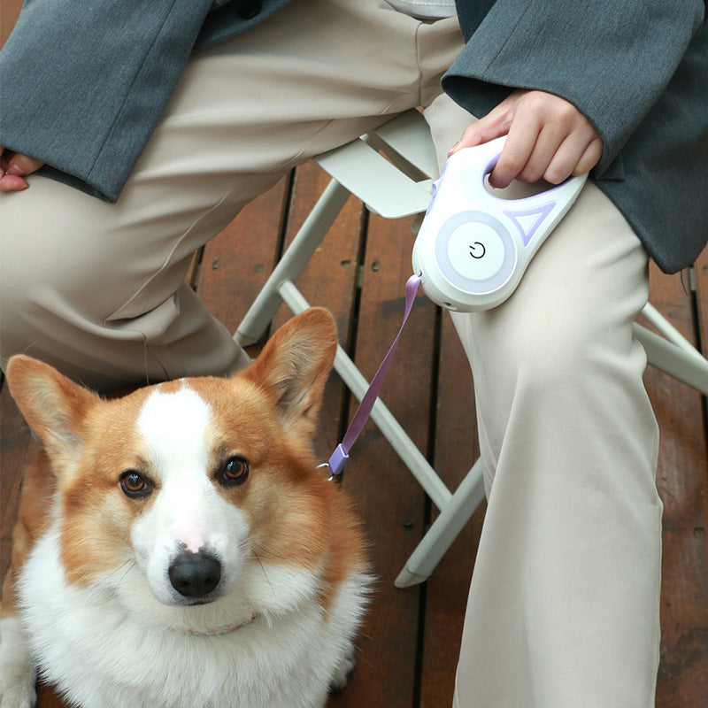 NightSafe LED Retractable Dog Leash