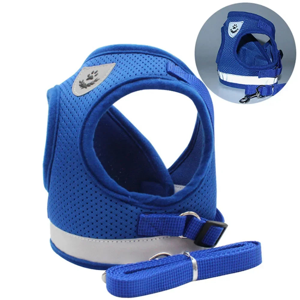 Cat Harness Lead Leash