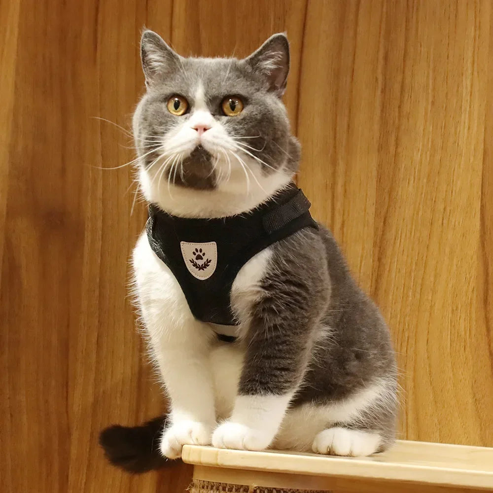 Cat Harness Lead Leash