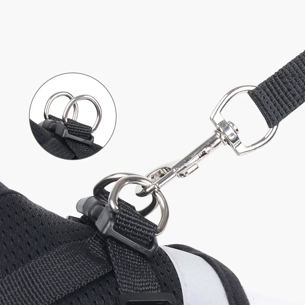 Cat Harness Lead Leash