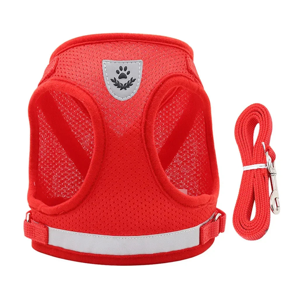 Cat Harness Lead Leash