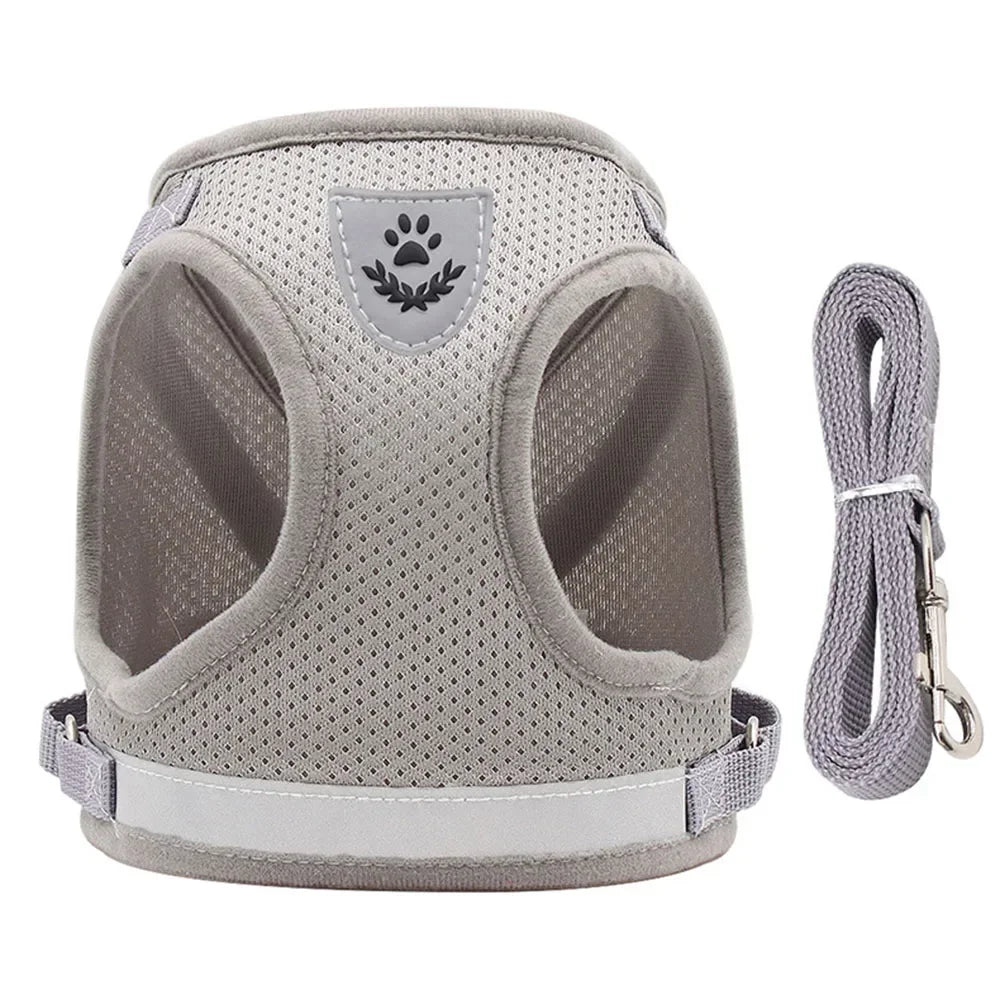 Cat Harness Lead Leash