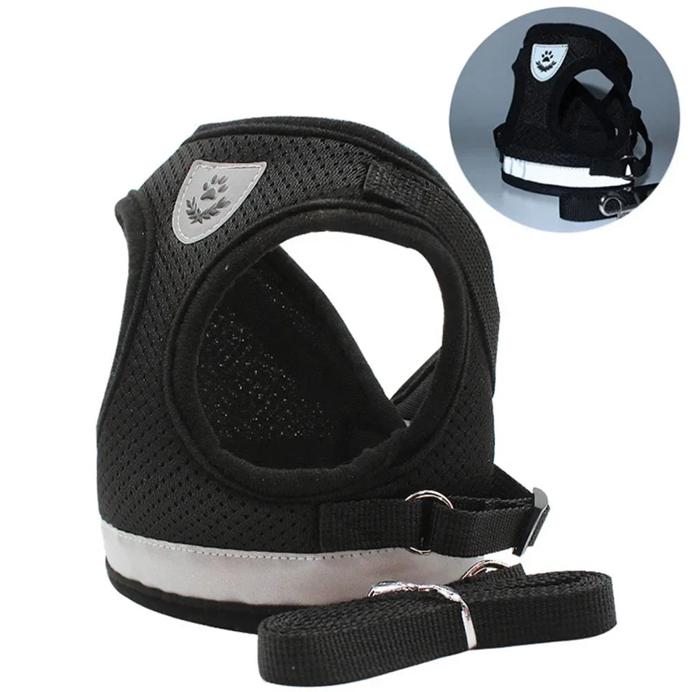 Cat Harness Lead Leash