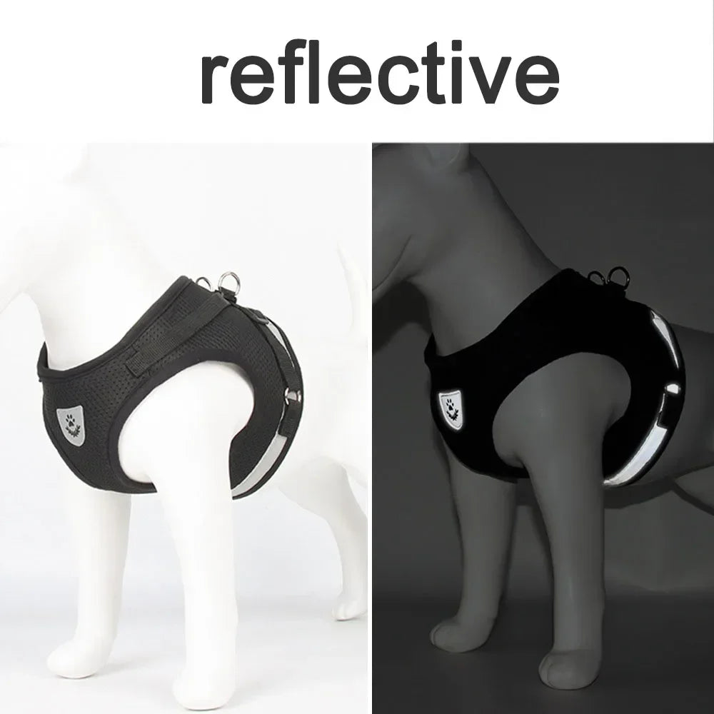 Cat Harness Lead Leash