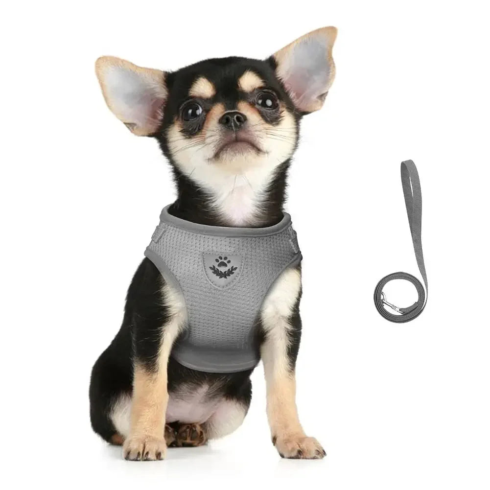 Cat Harness Lead Leash