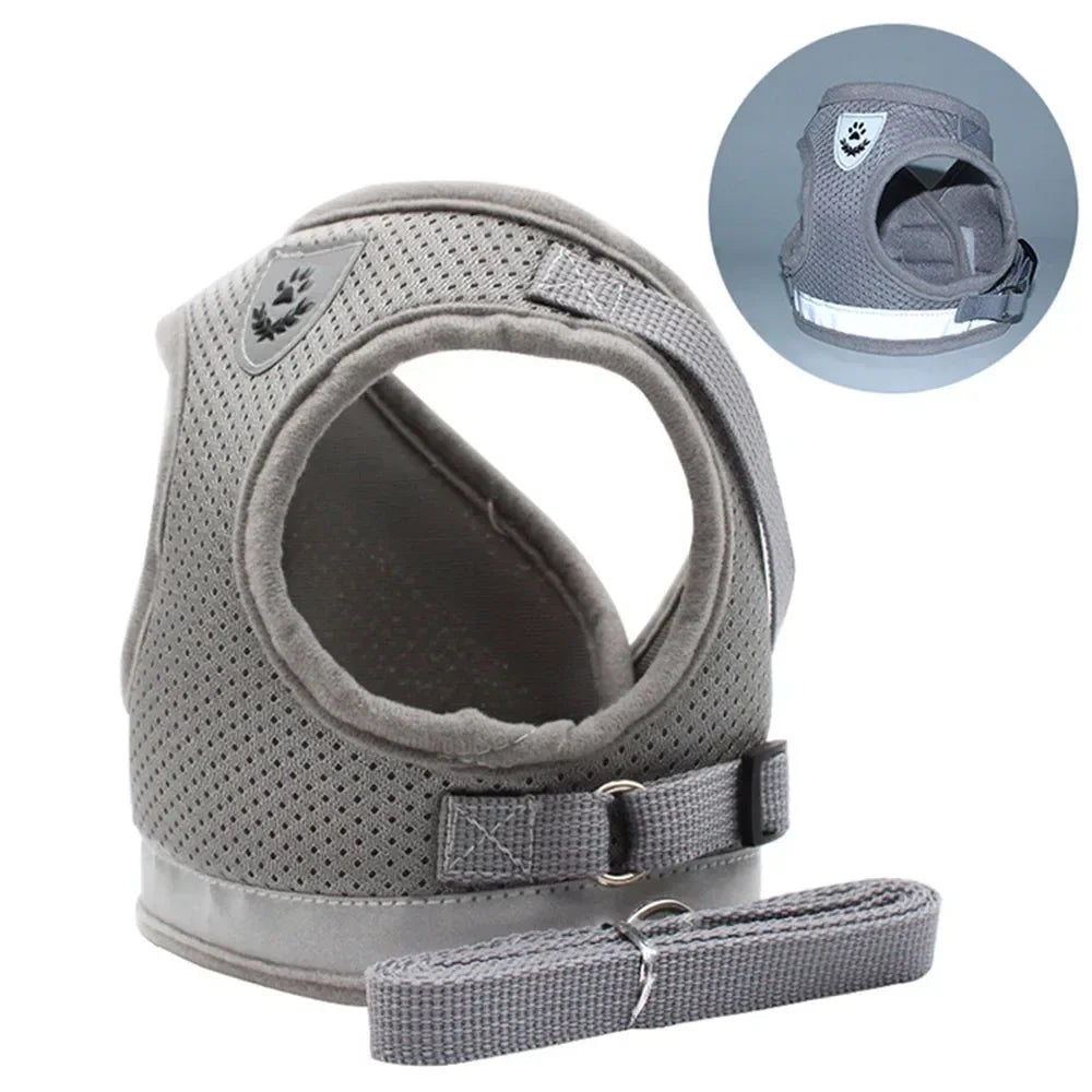 Cat Harness Lead Leash
