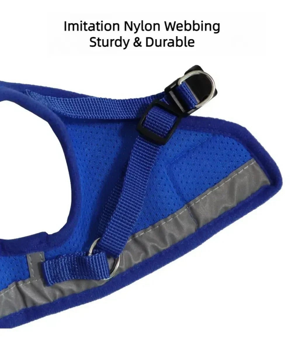 Cat Harness Lead Leash