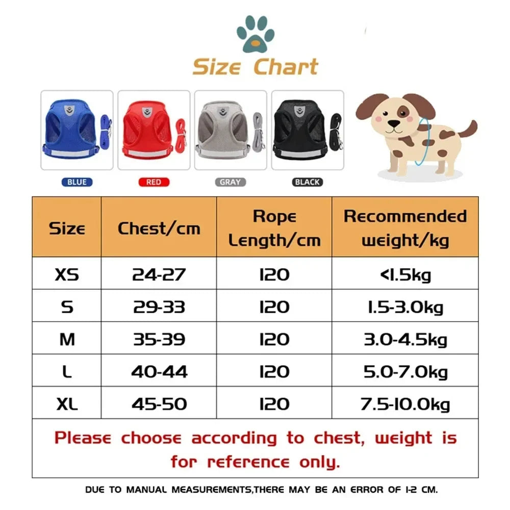Cat Harness Lead Leash