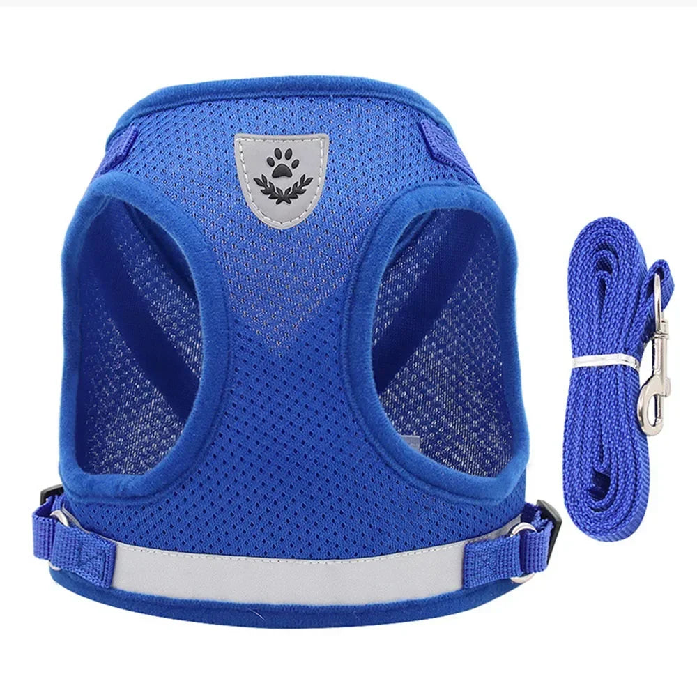 Cat Harness Lead Leash