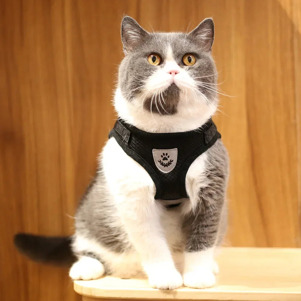 Cat Harness Lead Leash