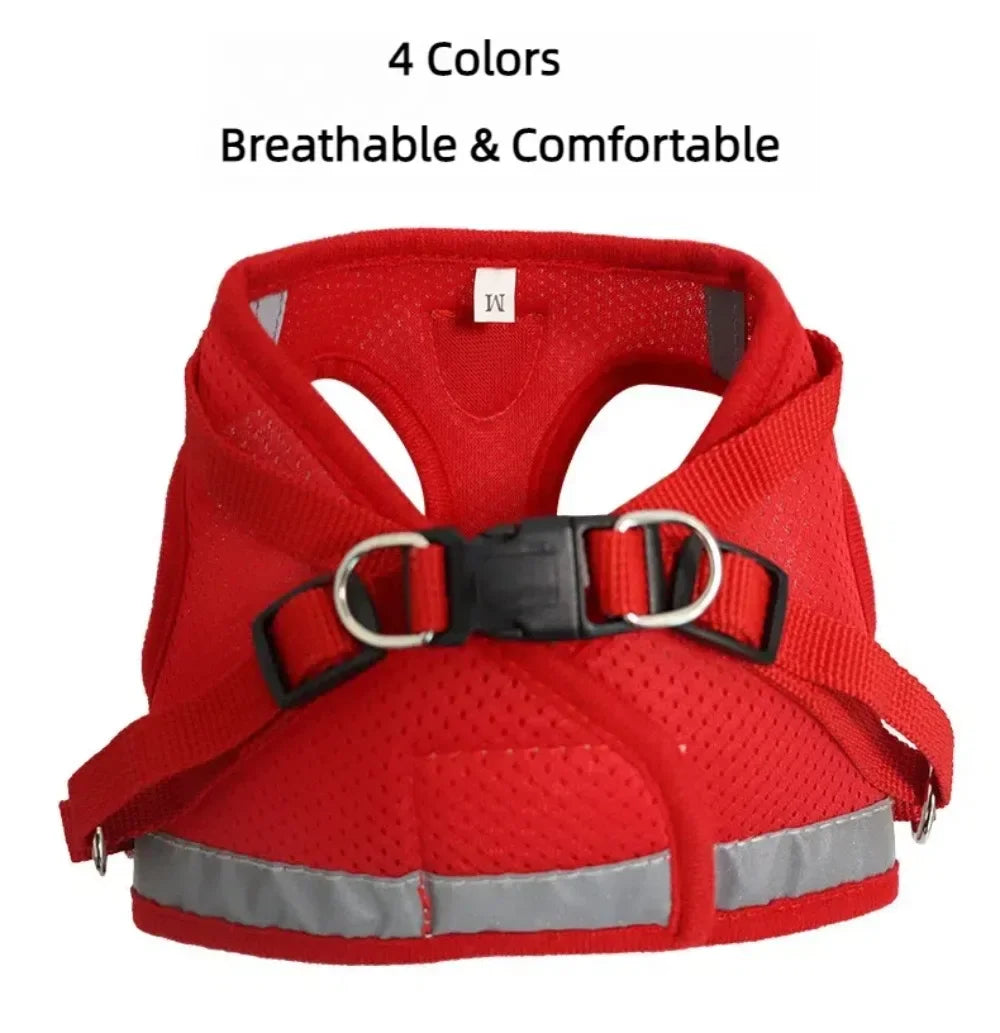 Cat Harness Lead Leash