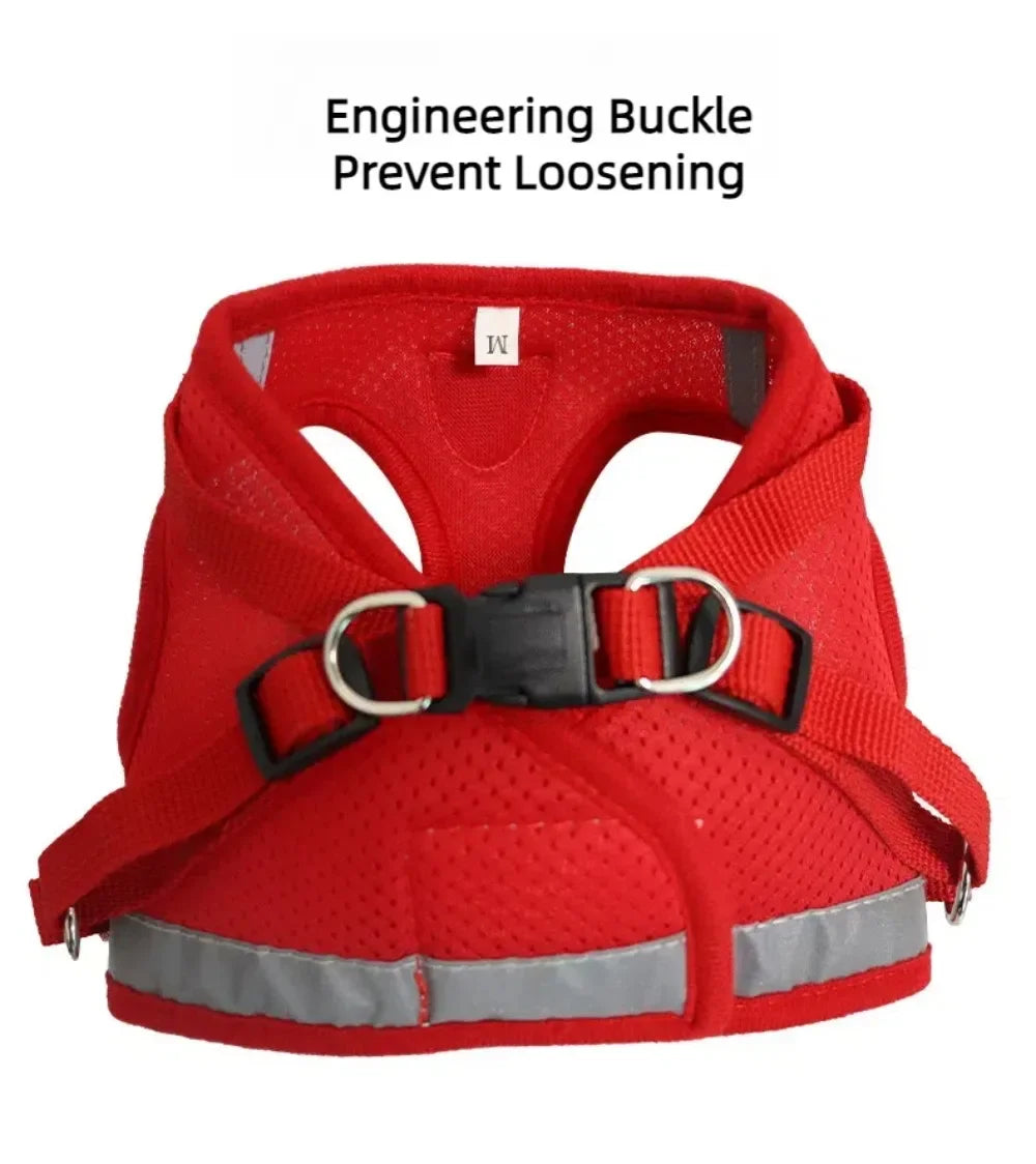 Cat Harness Lead Leash
