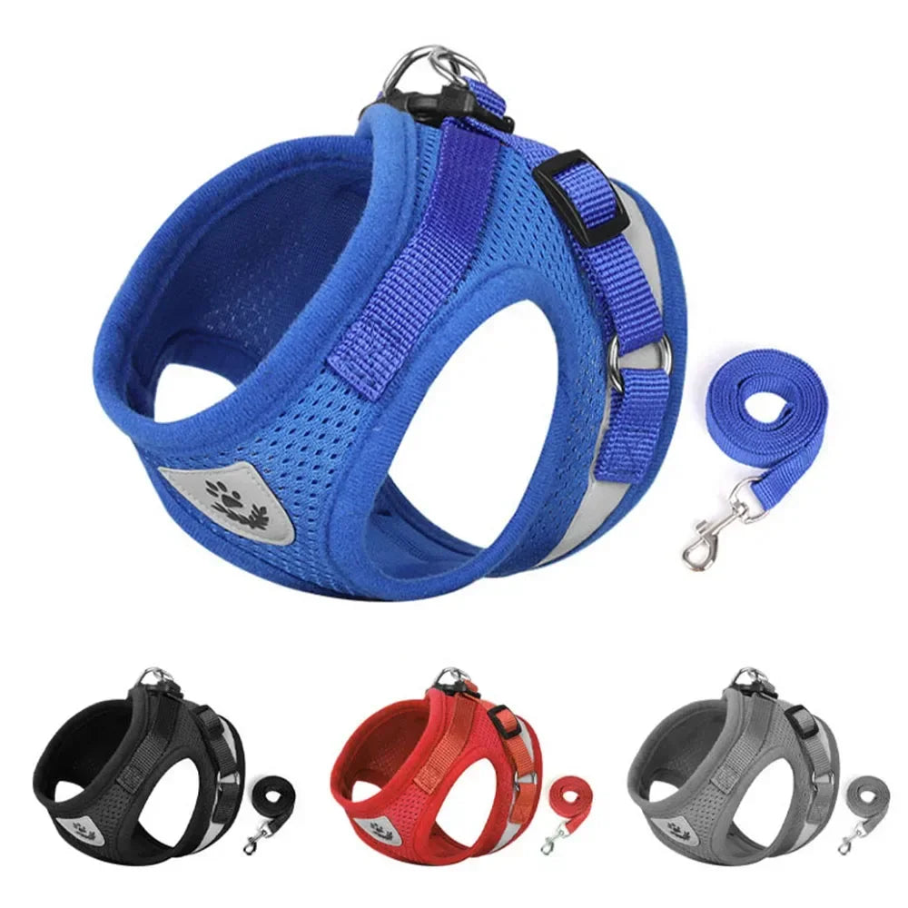 Cat Harness Lead Leash