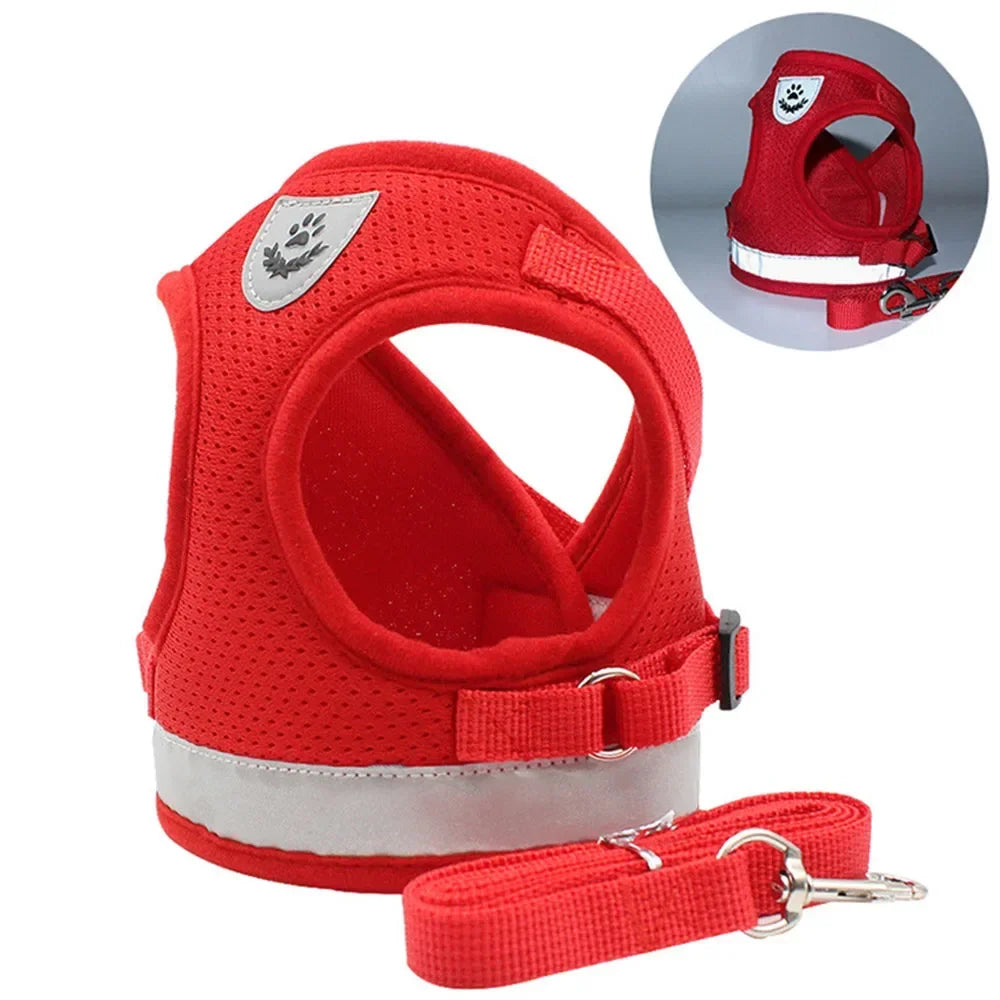 Cat Harness Lead Leash