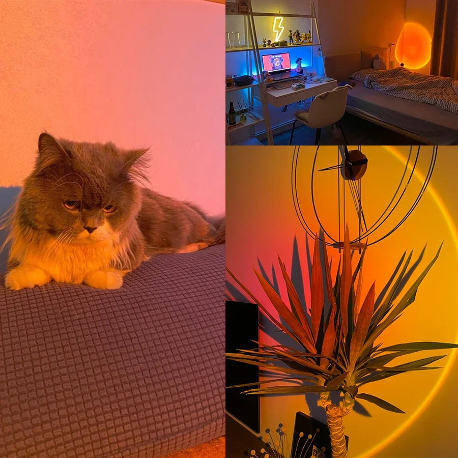 Sunset Light LED Rainbow Neon Night Lamp