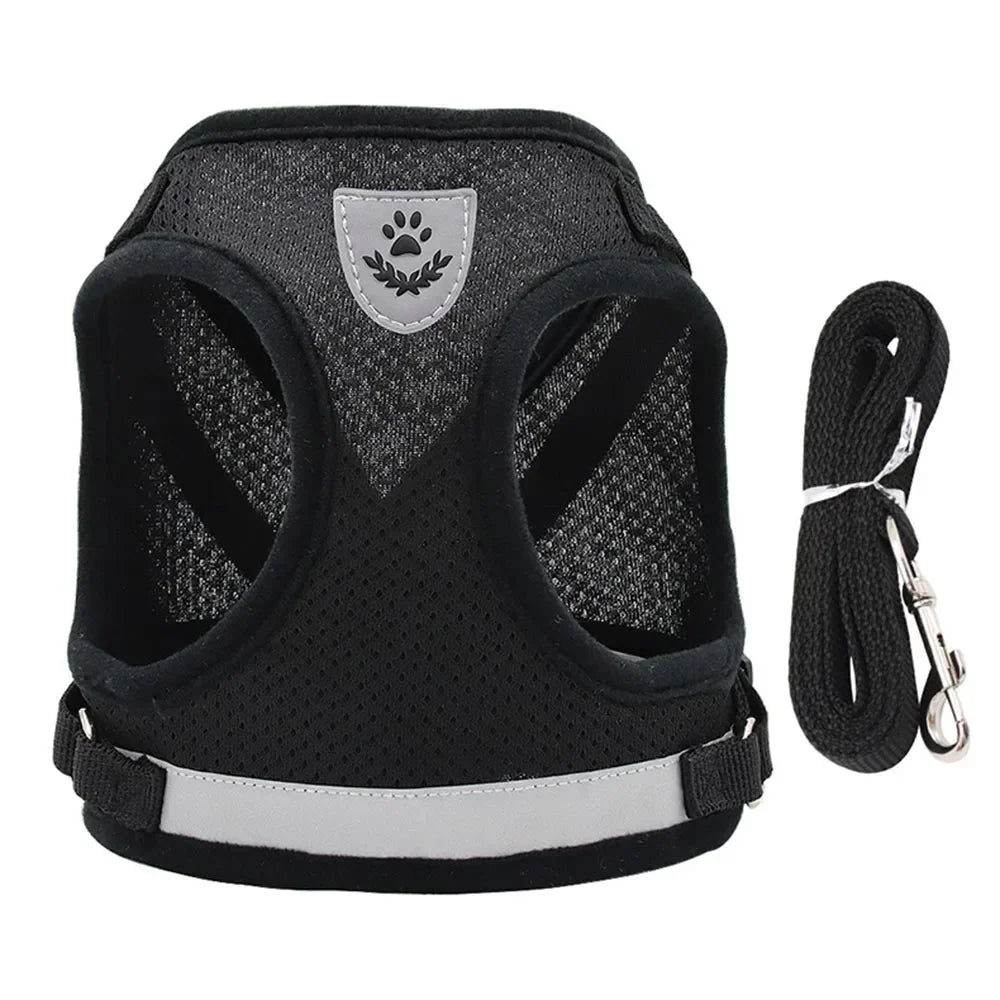 Cat Harness Lead Leash